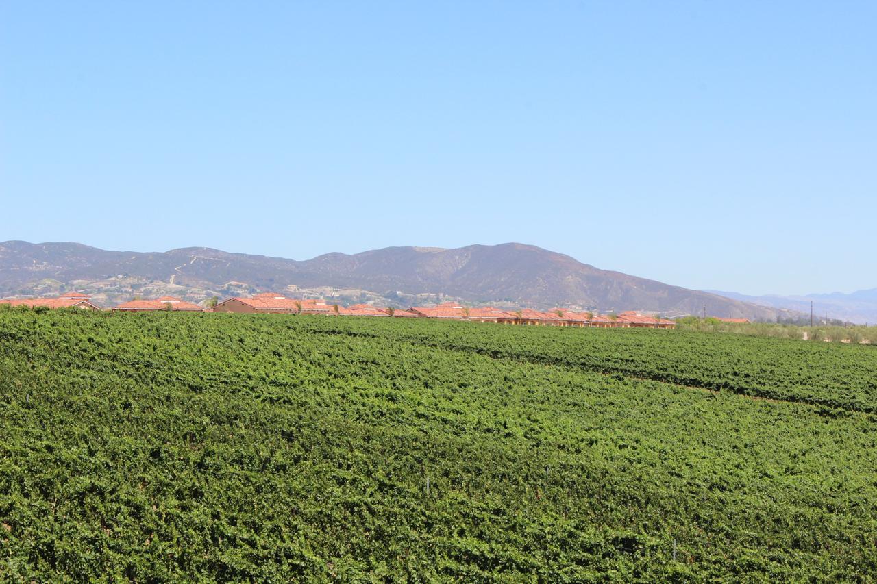 Carter Estate Winery And Resort Temecula Esterno foto